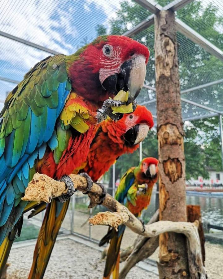 Penzion Eko Park Piestany Bagian luar foto